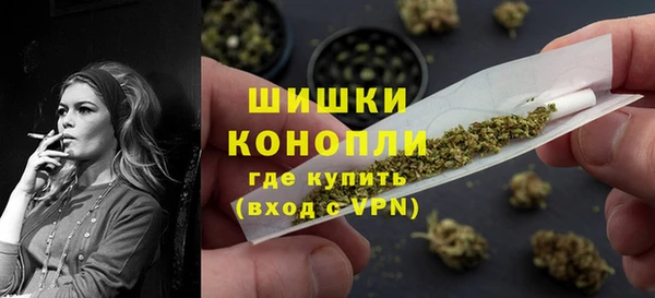 прущие грибы Нязепетровск