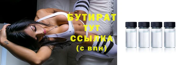 крисы Няндома