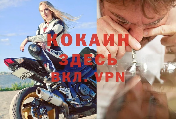 прущие грибы Нязепетровск