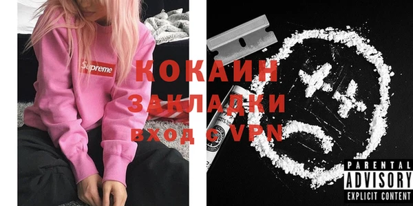 крисы Няндома