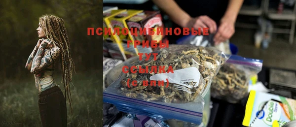 прущие грибы Нязепетровск