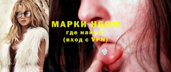 крисы Няндома