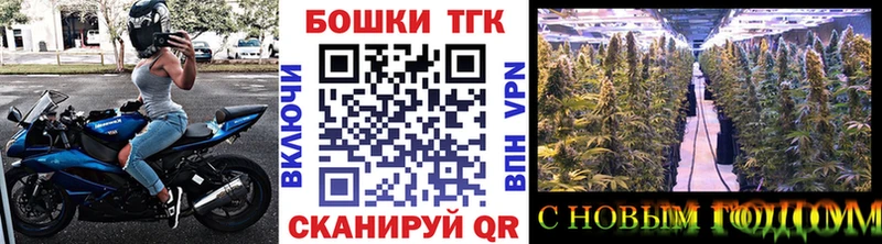 Конопля ГИДРОПОН  Купить закладки  Анадырь 